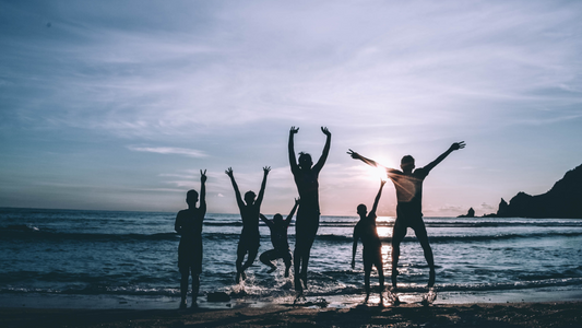 Beginners Guide - Manifest Your Dreams in 2024